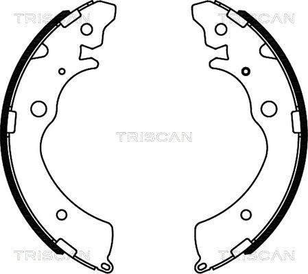 Triscan 8100 40508 - Комплект тормозных колодок, барабанные autosila-amz.com