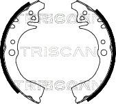 Triscan 8100 41497 - Комплект тормозных колодок, барабанные autosila-amz.com