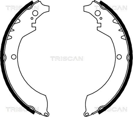 Triscan 8100 41419 - Комплект тормозных колодок, барабанные autosila-amz.com