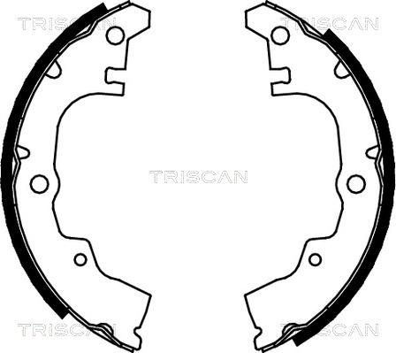 Triscan 8100 41414 - Комплект тормозных колодок, барабанные autosila-amz.com