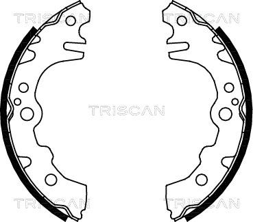 Triscan 8100 41619 - Комплект тормозных колодок, барабанные autosila-amz.com