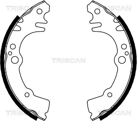Triscan 8100 41616 - Комплект тормозных колодок, барабанные autosila-amz.com
