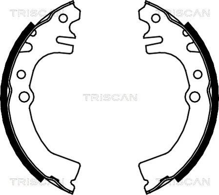 Triscan 8100 41613 - Комплект тормозных колодок, барабанные autosila-amz.com