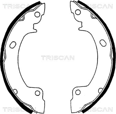 Triscan 8100 43529 - Комплект тормозных колодок, барабанные autosila-amz.com