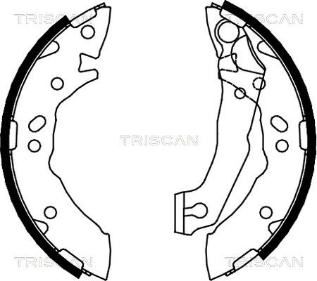 Triscan 8100 43621 - Комплект тормозных колодок, барабанные autosila-amz.com