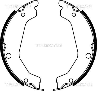 Triscan 8100 43019 - Комплект тормозных колодок, барабанные autosila-amz.com