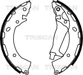 Triscan 8100 43014 - Комплект тормозных колодок, барабанные autosila-amz.com
