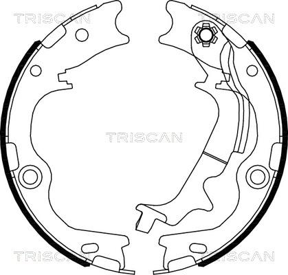 Triscan 8100 43029 - Комплект тормозов, ручник, парковка autosila-amz.com