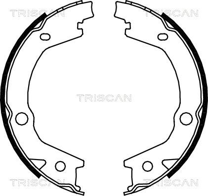 Triscan 8100 43020 - Комплект тормозов, ручник, парковка autosila-amz.com