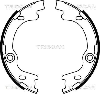 Triscan 8100 43021 - Комплект тормозных колодок, барабанные autosila-amz.com