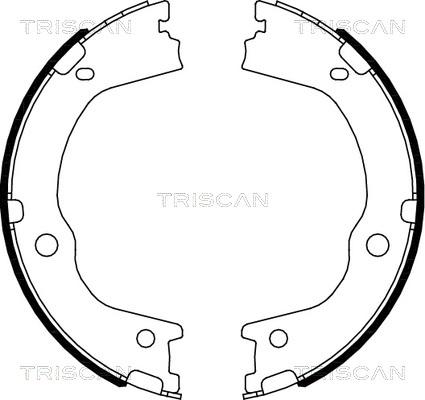 Triscan 8100 43027 - Комплект тормозных колодок, барабанные autosila-amz.com