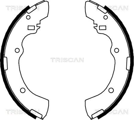 Triscan 8100 42505 - Комплект тормозных колодок, барабанные autosila-amz.com