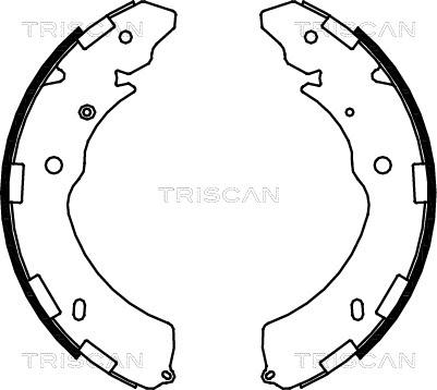 Triscan 8100 42021 - Комплект тормозных колодок, барабанные autosila-amz.com