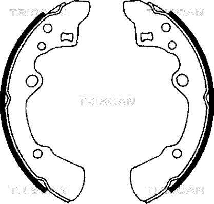 Triscan 8100 50496 - Комплект тормозных колодок, барабанные autosila-amz.com