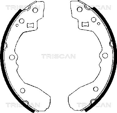 Triscan 8100 50406 - Комплект тормозных колодок, барабанные autosila-amz.com