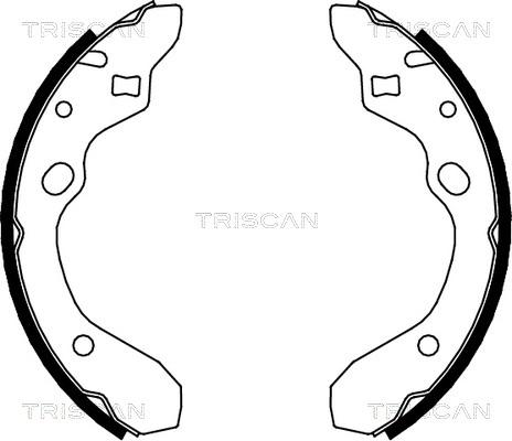 Triscan 8100 50546 - Комплект тормозных колодок, барабанные autosila-amz.com