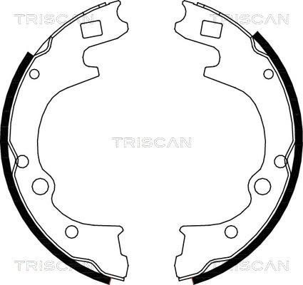 Triscan 8100 50604 - Комплект тормозных колодок, барабанные autosila-amz.com