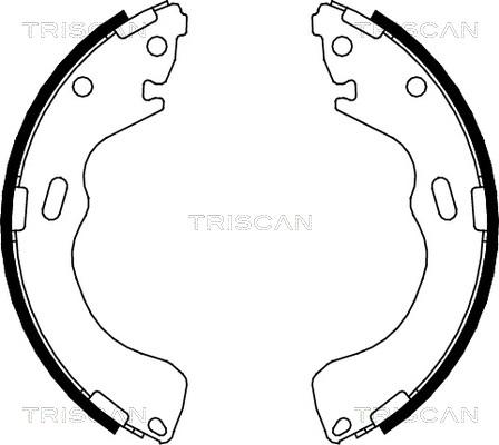 Triscan 8100 50616 - Комплект тормозных колодок, барабанные autosila-amz.com