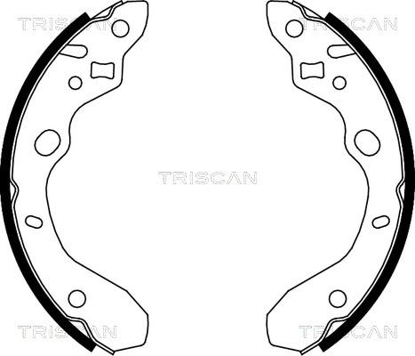 Triscan 8100 50611 - Комплект тормозных колодок, барабанные autosila-amz.com