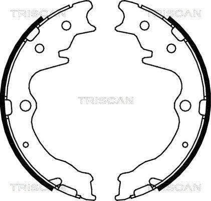 Triscan 8100 50003 - Комплект тормозов, ручник, парковка autosila-amz.com