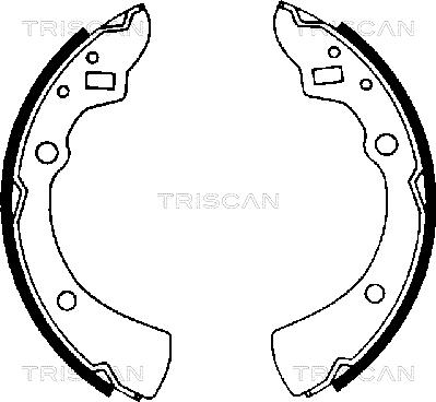 Triscan 8100 50359 - Комплект тормозных колодок, барабанные autosila-amz.com