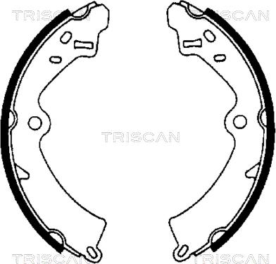 Triscan 8100 69473 - Комплект тормозных колодок, барабанные autosila-amz.com
