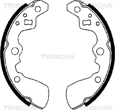 Triscan 8100 69550 - Комплект тормозных колодок, барабанные autosila-amz.com