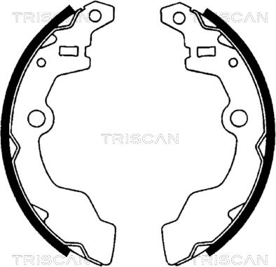 Triscan 8100 69567 - Комплект тормозных колодок, барабанные autosila-amz.com