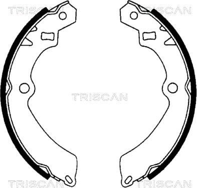 Triscan 8100 69511 - Комплект тормозных колодок, барабанные autosila-amz.com
