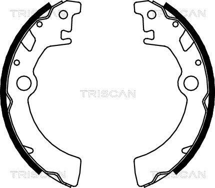 Triscan 8100 69600 - Комплект тормозных колодок, барабанные autosila-amz.com