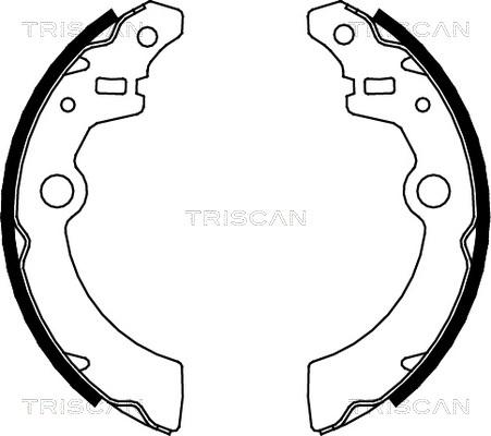 Triscan 8100 69001 - Комплект тормозных колодок, барабанные autosila-amz.com