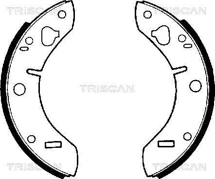Triscan 8100 65011 - Комплект тормозных колодок, барабанные autosila-amz.com