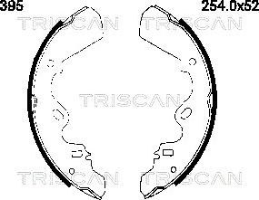 Triscan 8100 60395 - Комплект тормозных колодок, барабанные autosila-amz.com