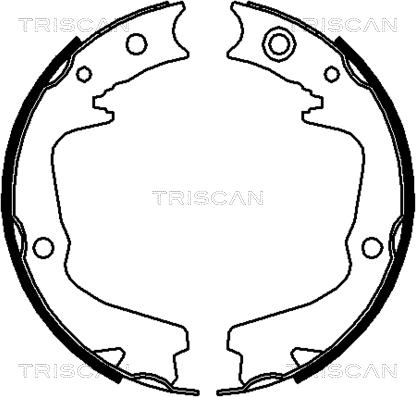 Triscan 8100 68002 - Комплект тормозных колодок, барабанные autosila-amz.com