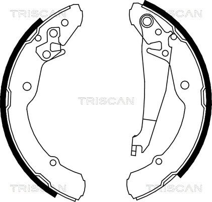 Triscan 8100 67631 - Комплект тормозных колодок, барабанные autosila-amz.com
