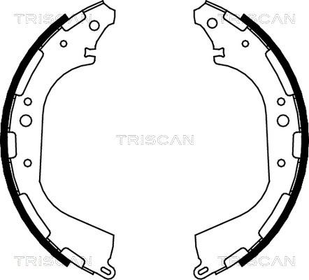 Triscan 8100 14564 - Комплект тормозных колодок, барабанные autosila-amz.com