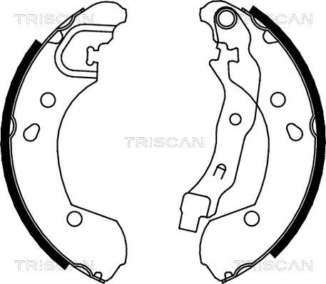 Triscan 8100 14002 - Комплект тормозных колодок, барабанные autosila-amz.com