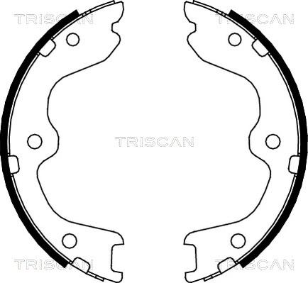 Triscan 8100 14010 - Комплект тормозных колодок, барабанные autosila-amz.com
