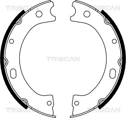Triscan 8100 14011 - Комплект тормозных колодок, барабанные autosila-amz.com