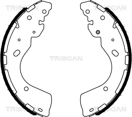 Triscan 8100 14012 - Комплект тормозных колодок, барабанные autosila-amz.com