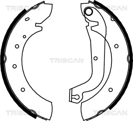 Triscan 8100 15480 - Комплект тормозных колодок, барабанные autosila-amz.com