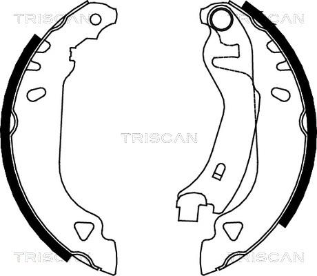 Triscan 8100 15482 - Комплект тормозных колодок, барабанные autosila-amz.com