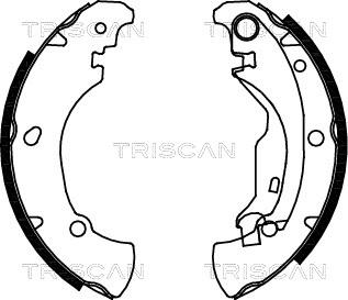 Triscan 8100 15625 - Комплект тормозных колодок, барабанные autosila-amz.com