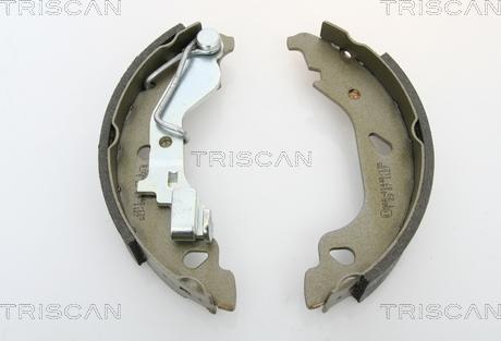 Triscan 8100 15013 - Комплект тормозных колодок, барабанные autosila-amz.com