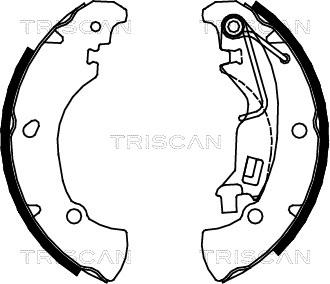 Triscan 8100 15017 - Комплект тормозных колодок, барабанные autosila-amz.com
