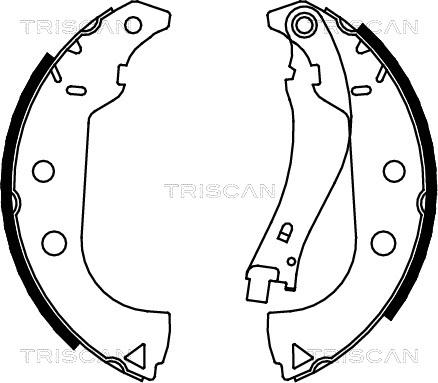 Triscan 8100 15020 - Комплект тормозных колодок, барабанные autosila-amz.com