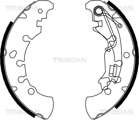 Triscan 8100 15023 - Комплект тормозных колодок, барабанные autosila-amz.com