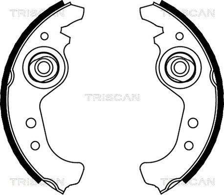 Triscan 8100 15383 - Комплект тормозных колодок, барабанные autosila-amz.com