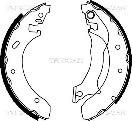 Triscan 8100 16559 - Комплект тормозных колодок, барабанные autosila-amz.com