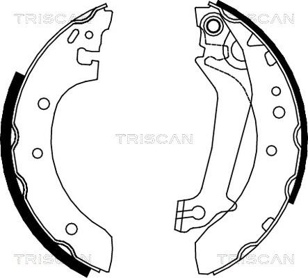 Triscan 8100 16587 - Комплект тормозных колодок, барабанные autosila-amz.com